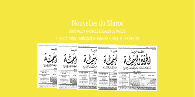 Publication Annonce légale Bulletin Officiel